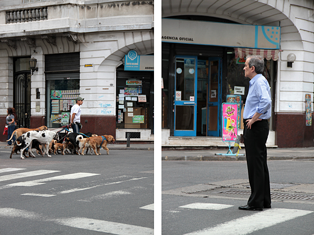 Dog Walker Buenos Aires
