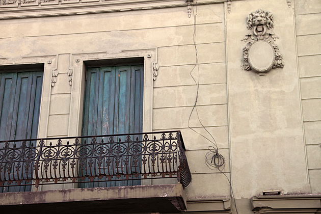 Lion Head Buenos Aires