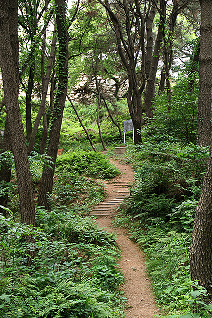 Hiking in Busan