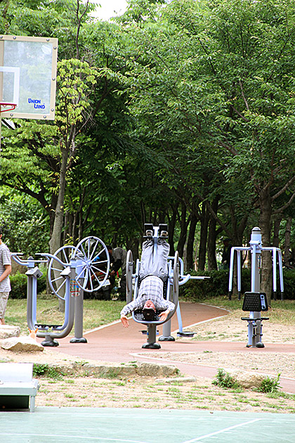 Korean Work Out