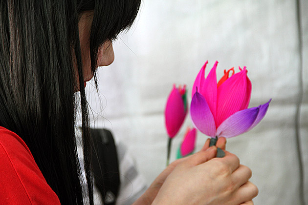 Lotus Making