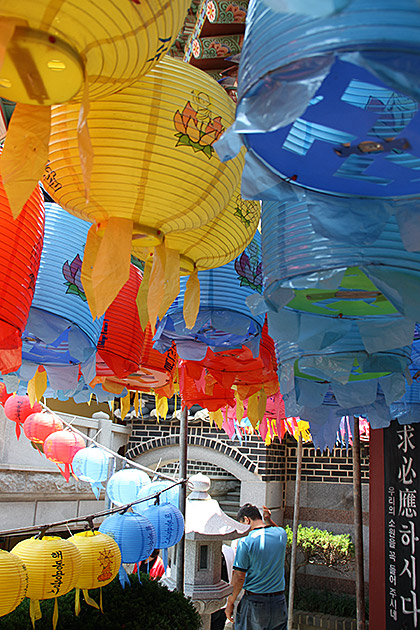 Blue Shirt Lantern