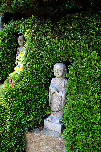 Buddha Garden