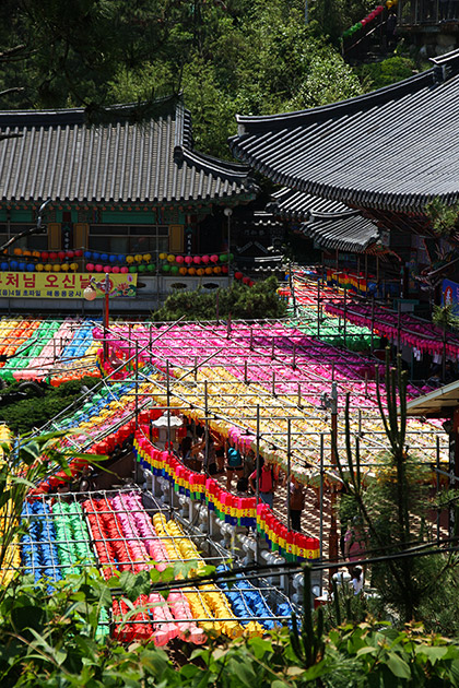 Busan Festivals