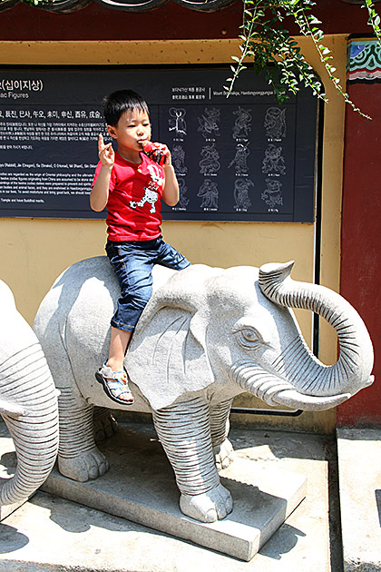 Elephant Boy Korea