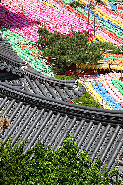 Temple Roof