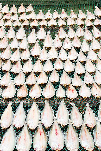Dry Fish Market Busan