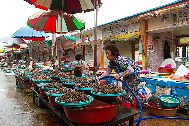 Snail Cleaning