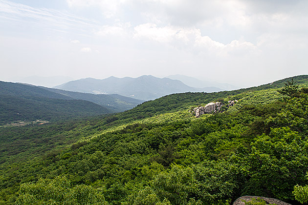 Busan Nature