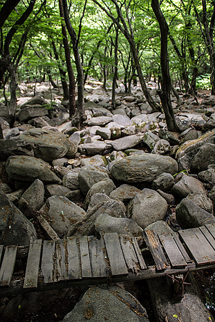 Hiking in Busan