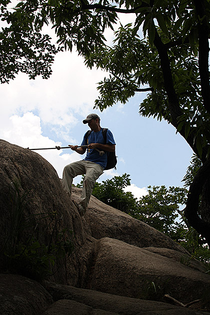 Natural Climber