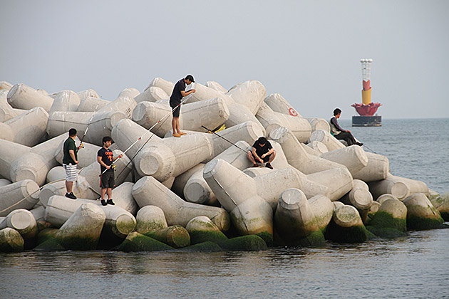 Fishing in Busan