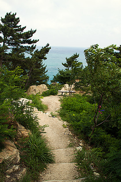 Coastal-Hike-Busan