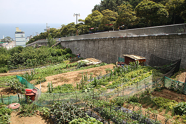 Urban Garden Korea