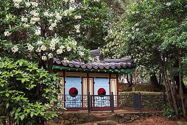 Shrine Korea