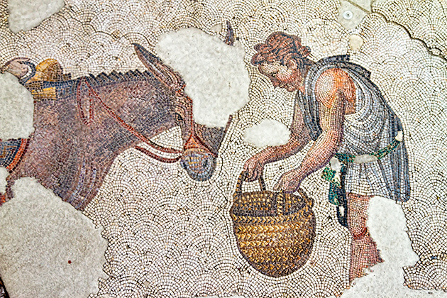 Feeding Donkey Mosaic