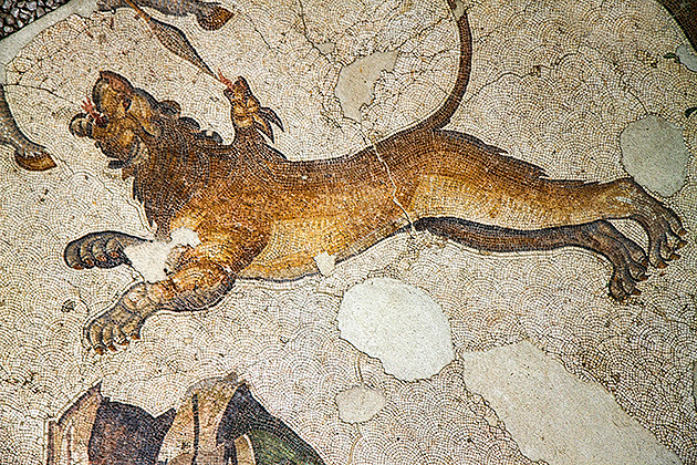 Lion Mosaic