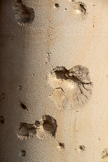 Spain Traces of War
