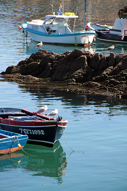 Fishing Cudillero
