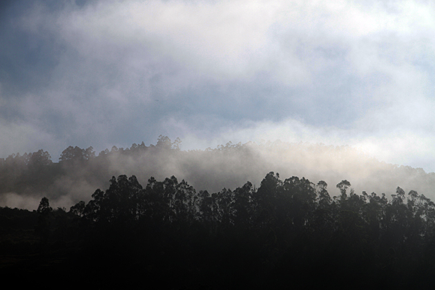 Layers of Mist
