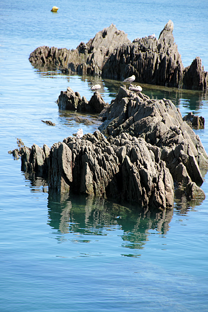 Magic Rock