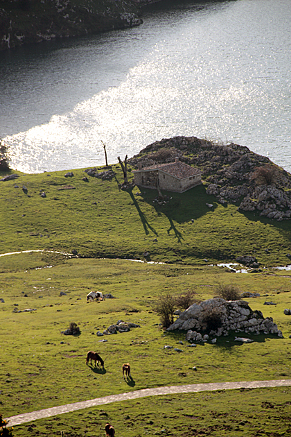 Picos Casa Rural