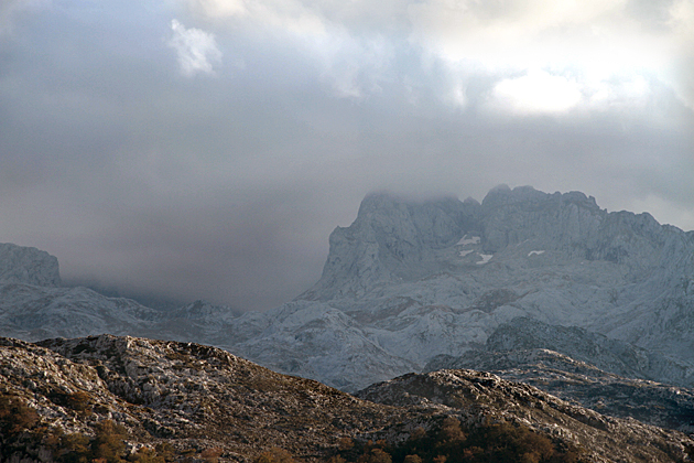Picos de Europa