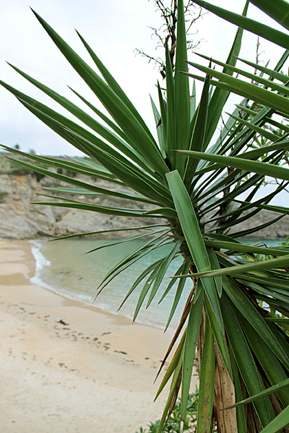 Llanes Beach