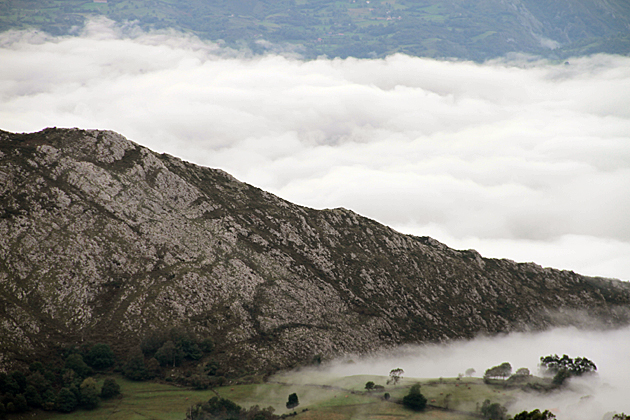 Fog Asturias