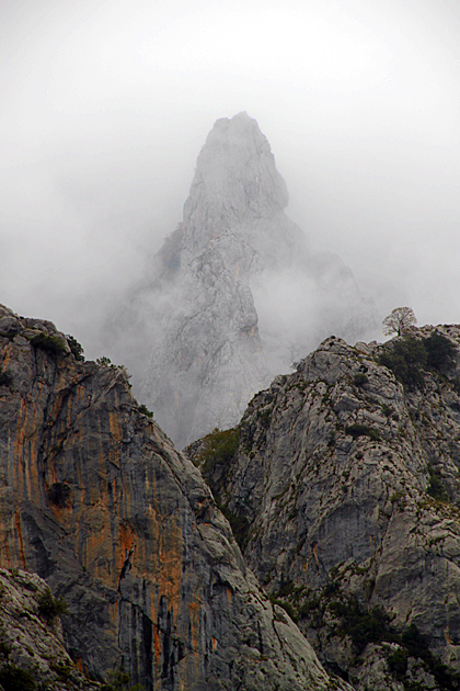 Picos de Europa