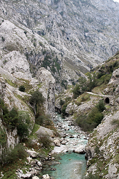 Rio Picos de Europa