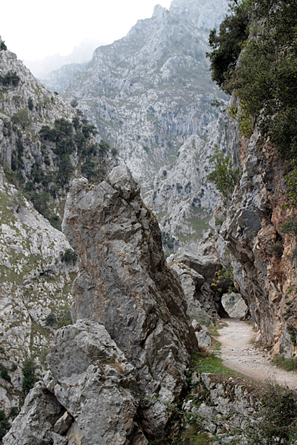 Hiking Routes Picos
