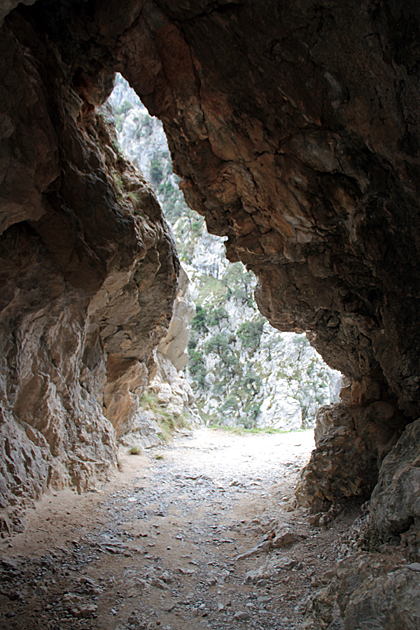 Hiking