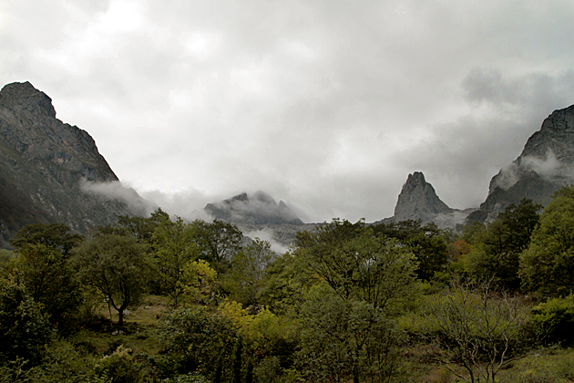 Mist Land