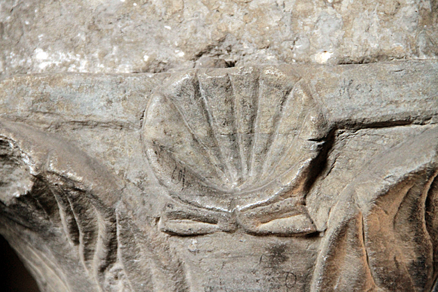 Camino Santiago Shell