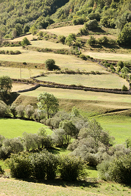 Green Spain