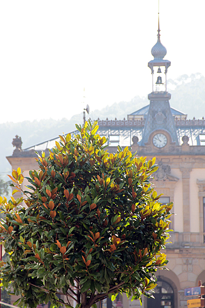 Ayuntamiento Villaviciosa