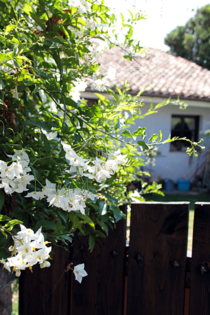 Romantic Villviciosa