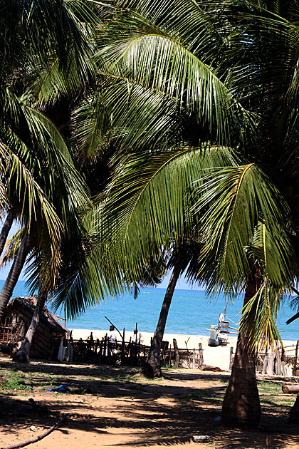 Beach Arugam Bay