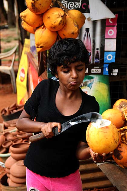 Image result for Girl selling Tender coconuts in colombo