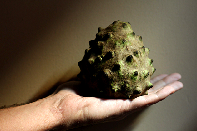 Chiromoya / Cherimoya Fruit