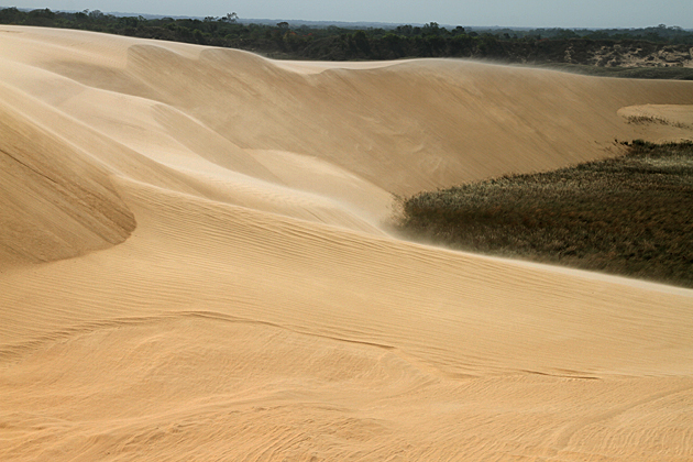 Santa Cruz Sand Dunes