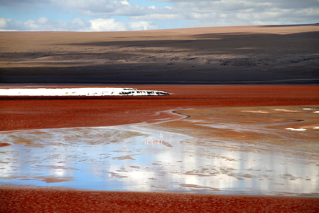 Laguna Colorada Bolivia