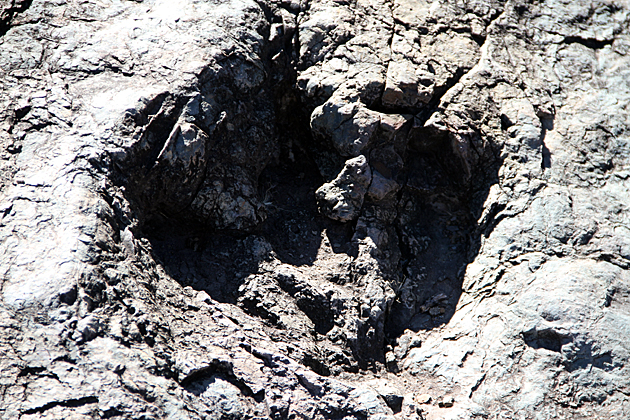 Dinosaurs footprints in Bolivia