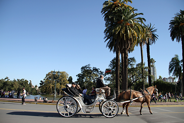 Argentina Buenos Aires Horse and cart in Caminito La Boca Stock Photo -  Alamy