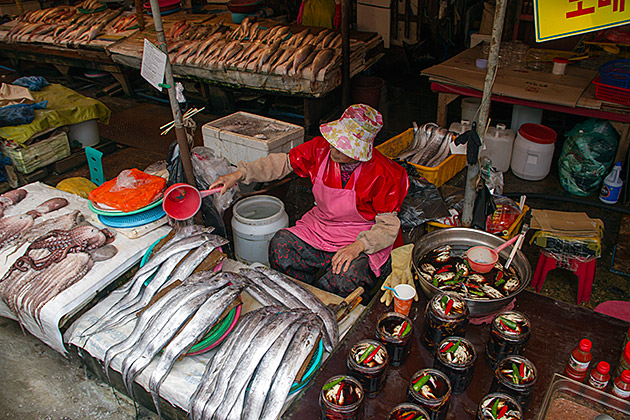 Woman keeping fish fresh in Busan