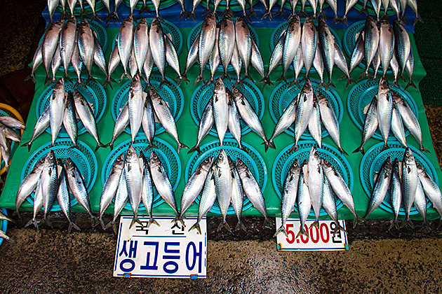 Jagalchi Fish Market in Busan