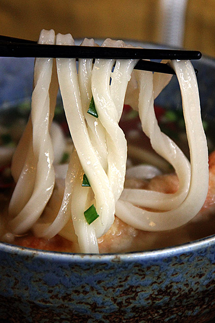 Udon noodles photo