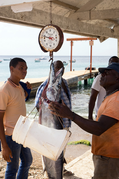 Playa Piscado fish market