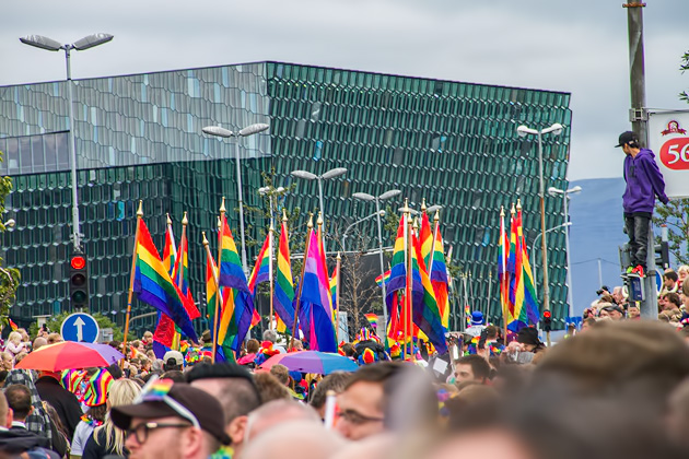 Gay Flags iceland